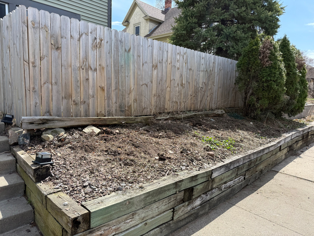 After — Bush Removal