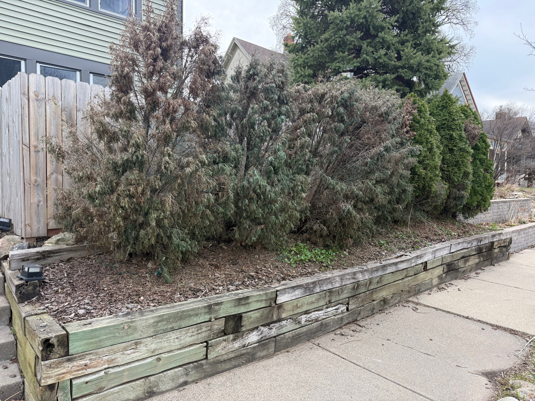 Before — Bush Removal