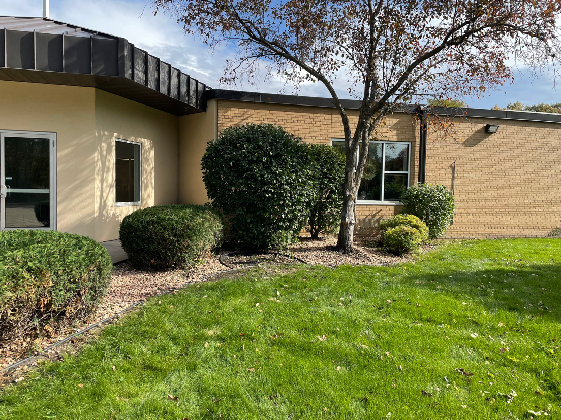 After — Bush Trimming Shakopee